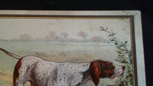 c. 1885 Dutton & RHones Fine Clothing trade card - litho hunting dogs